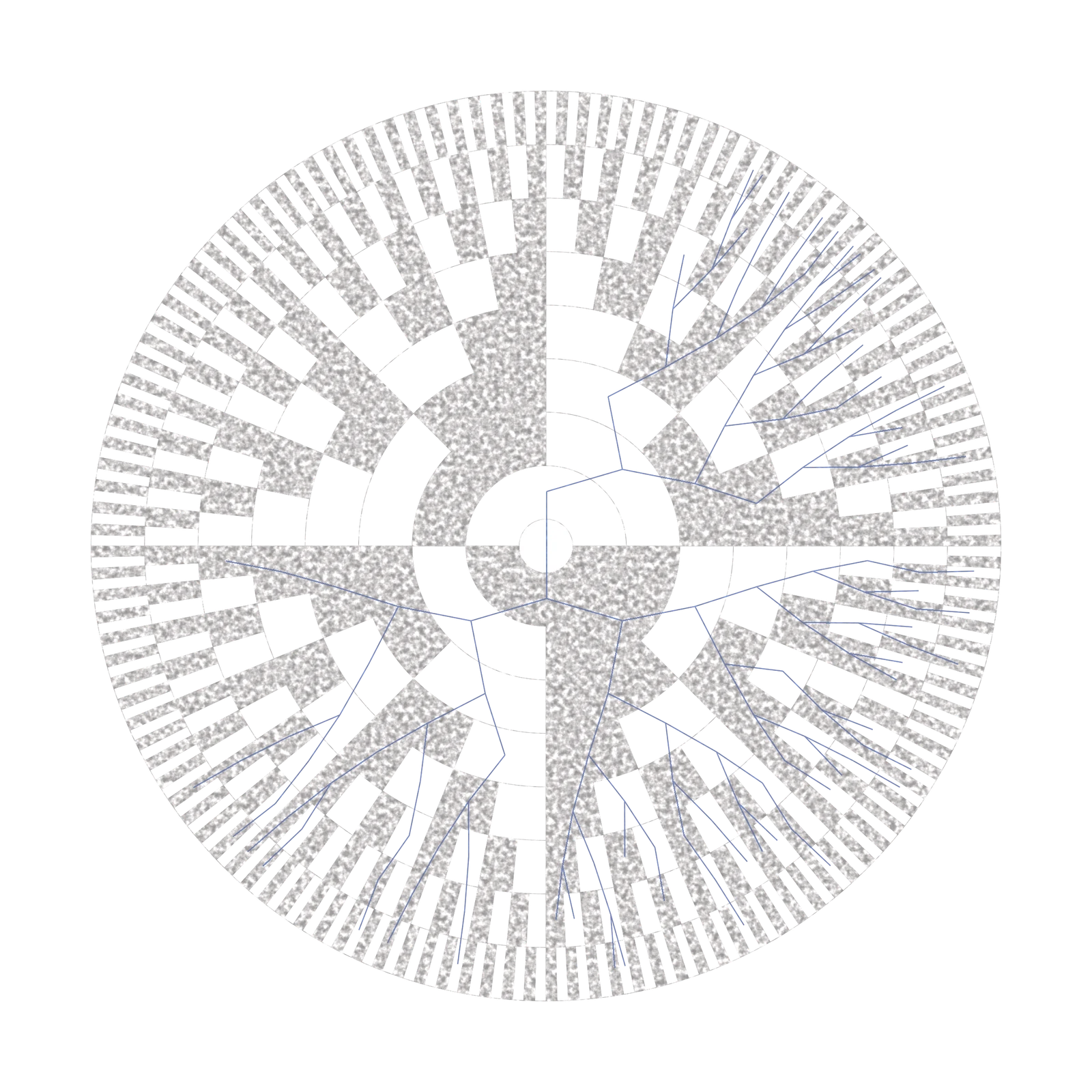 Circular geometric data visualisation: concentric rings and radial sectors in grey with a branching network of blue lines across them